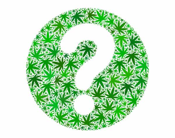 Cannabis questions