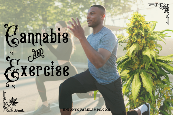 Working out and Cannabis Cover