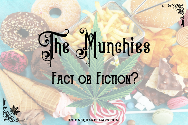 Munchies Cover